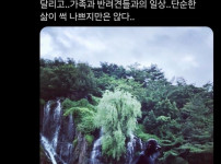 고영욱과 이상민, 신은경, 김희선의 연예계 소식 블라인드 공개! 기사의 썸네일